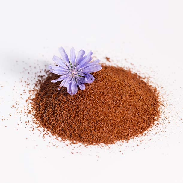 Chicory Extract Powder​