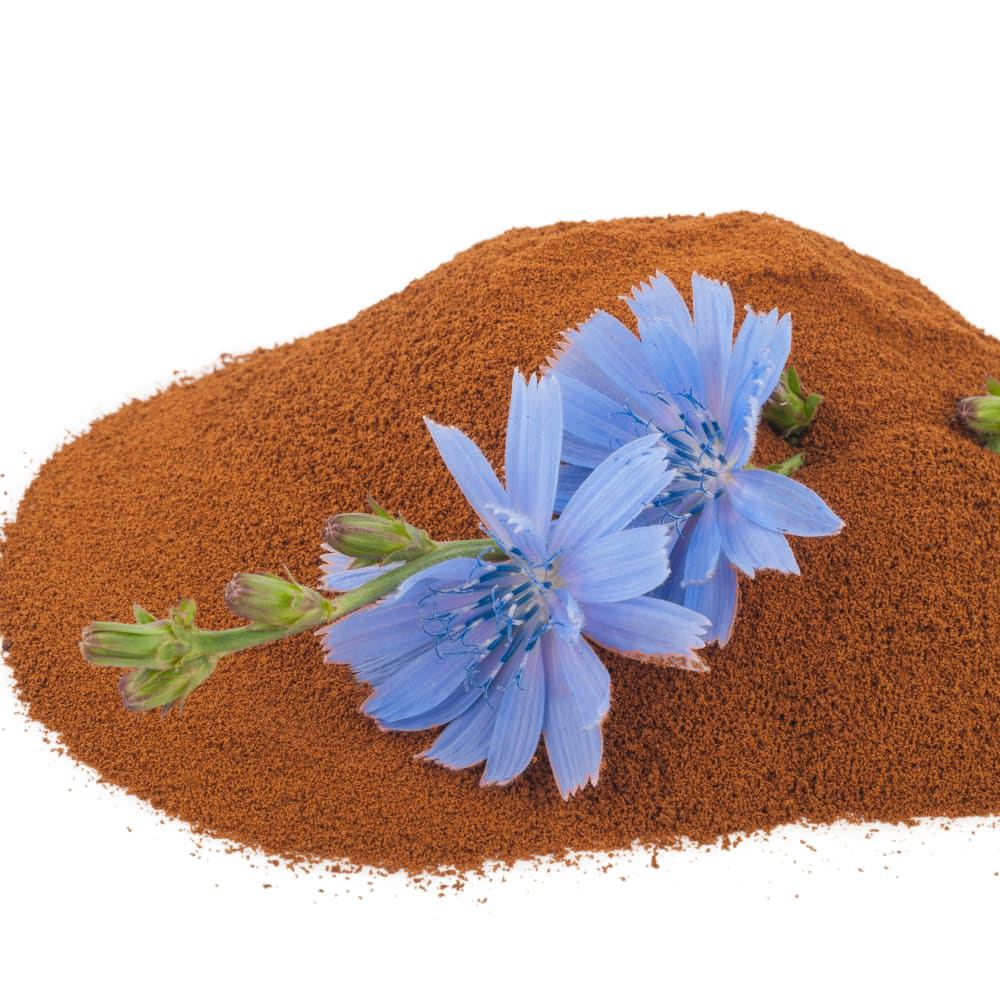 Chicory Extract Powder​